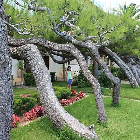 Casa Neus Bara Roda de Bará