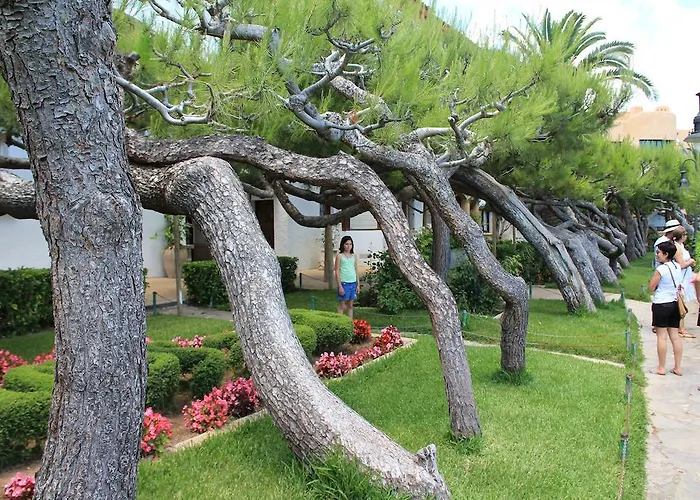 Casa Neus Bara Roda de Bará
